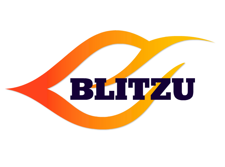 blitzu.com